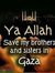 Salim S...