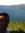 Geovann...