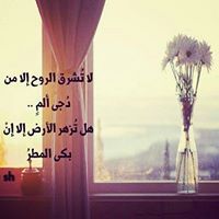 أحمد عبدالوارث