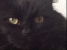 BeautifullyImperfect