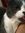 Lester Acevedo | 4 comments