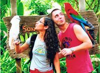 Emily Cestari-macdonald