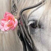 تمارا طبيله