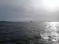 Maramoving Forwardray