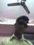 Vamshi ...