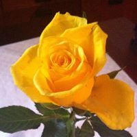 Kristina Adamakis paschalis