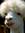 Llama (llamalover101) | 2 comments