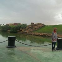 Mona Elbshir