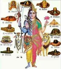 Yogesh Kumar