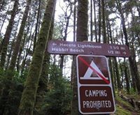 Michi Williams-schmid