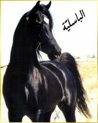 منى الغبين