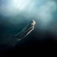 هدايه القادرى