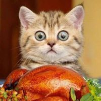 Kimberly Gates-jacobs