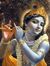 Vipul P...