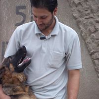 Hamada Ali