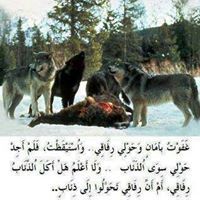 عماد القدومي