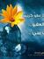 Manal A...