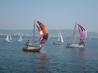 Тодор Аврамов