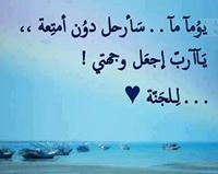 المقداد آخر زاد