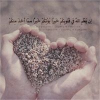 Mostafa Monir