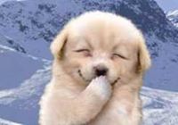 आदित्य 'समर्थक'