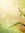 Hasnaa (Hasnaamoon) | 4 comments