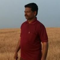 प्रदीप कोले