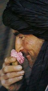 أسامة بن زيد