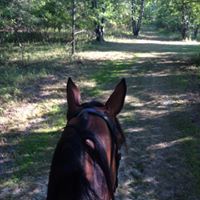 Kathy Cunningham jones