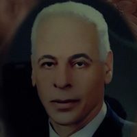 Mohammed Salaheldin