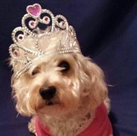 Nancy Kennedy-walborn