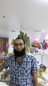 Mohamad Hasan