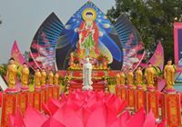 Hải Mi