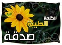 يزيد بوبكر