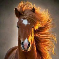 خنساء فلسطين