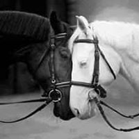 الزهراء درويش