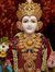 Vikas P...