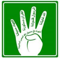أحمد فتوح