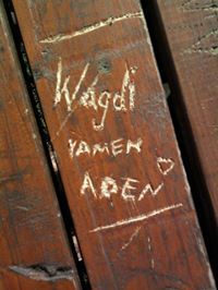 Wagdi Alshabi