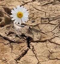 السعدية الحلو