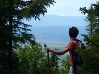 cindy_sewallyahoo.com