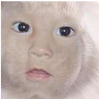 Kitty Rubio lopez