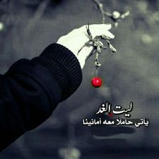 Tasabeh behairy