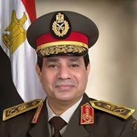 Tarek Mohamed
