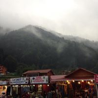 خلود العتيبي