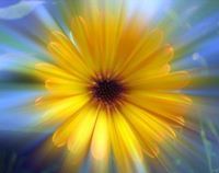 Марияна Димитрова