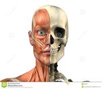 محمد جمال راشد