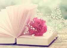 حاملة الترياق