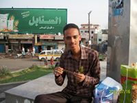 محمد القدسي