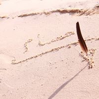 حسام الرشيدي